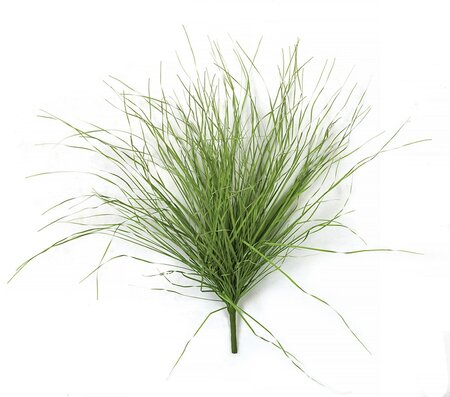 26 Inch Light Green Pvc Wild Onion Grass Bush