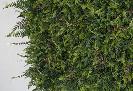 20 Inch X 20 Inch X 4 Inch Artificial Fire Retardant or Regular ***Mixed Fern Mat