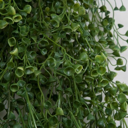 24 Inch Outdoor Polyblend Hanging Claytonia Bush.