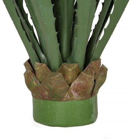 36 Inch Large Outdoor Agave Plant In Green Or Burgundy