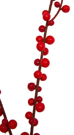 28 Inch Freeze Resistant Ilex Berry Spray In Red Or Orange