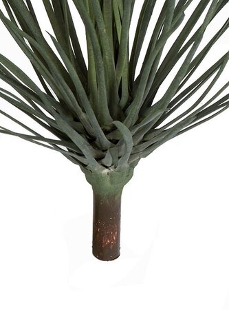 ARTIFICIAL SENECIO SUCCULENT PLANT | 16 inches OR 22 inches SIZES