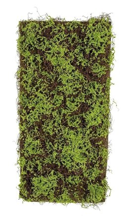 40 inches L X 20 inches W GREEN MOSS TWIG MAT ON COIR BACKING
