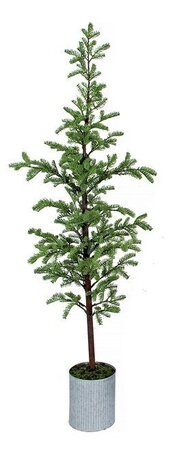 POTTED JUNIPER TREE | 6 FOOT OR 7 FOOT TREES