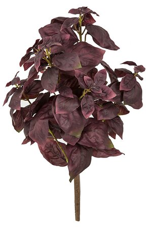 15 Inch Purple Basil Plant