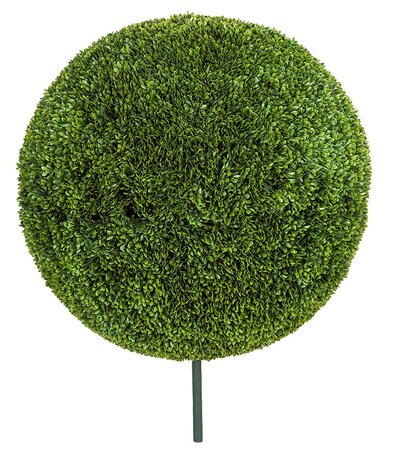 Japanese Boxwood Balls | 24 Inches, 30 Inches, Or 42 Inches