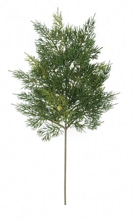 20" Natural Touch Cedar Spray