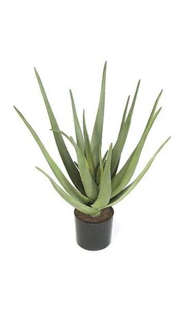 22 inches Plastic Aloe Plant - 20 Green Leaves - 19 inches Width - Weighted Base - FIRE RETARDANT
