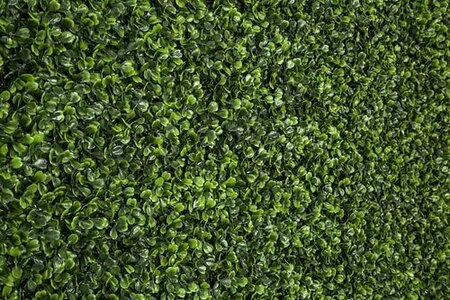 103 Inch L X 51- 1/8 Inch W Fire Retardant and Outdoor UV rated Artificial Boxwood Mat Roll