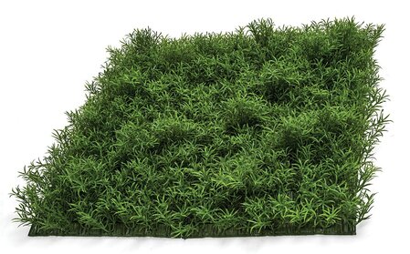 20 Inch X 20 Inch Firesafe Sprengerii Grass Wall Mat