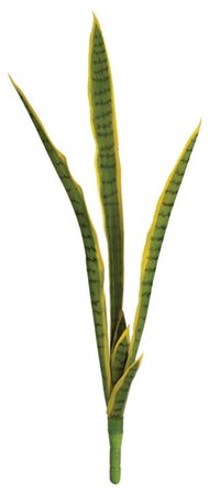 37 Inch Uv Outdoor Sansevieria Plant | Green/Yellow Or Tutone Green