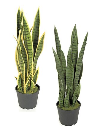 26 Inch Outdoor  UV Sanservieria Plant | Green/Yellow Or Tutone Green