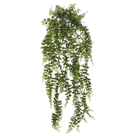 30 inches Green Bucler Fern Vine
