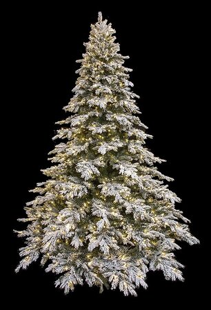 FLOCKED BLACK MOUNTAIN SPRUCE TREES WITH LED LIGHTS | 5 FT. TO 15 FT. TALL