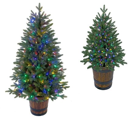 POTTED SLIM HAMILTON PINE CHRISTMAS  TREES W/MULTI-COLORED & MULTI-FUNCTION LED LIGHTS | 5 feet O...