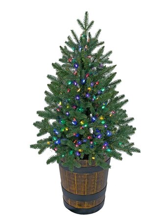 POTTED SLIM HAMILTON PINE CHRISTMAS  TREES W/MULTI-COLORED & MULTI-FUNCTION LED LIGHTS | 5 feet O...