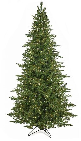 Natural Touch PE/PVC Fir LAYERED ROSEMARY PINE TREES WITH 3MM LED LIGHTS | 5 FT. TO 12 FT. TALL