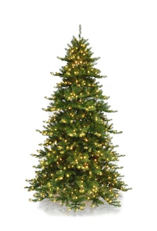 ROYAL MAJESTIC PINE TREES | 5 FT., 7.5 FT., 9 FT., OR 12 FT. TALL