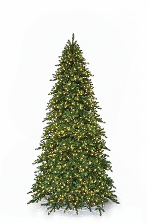 ROYAL MAJESTIC PINE TREES | 5 FT., 7.5 FT., 9 FT., OR 12 FT. TALL