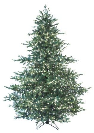 Montana Spruce Tree with LED Lights | 7.5' to 12' Tall