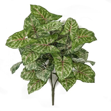 Earthflora's 16 Inch Fr Syngonium Bush - Pink Or Green Fire Retardant
