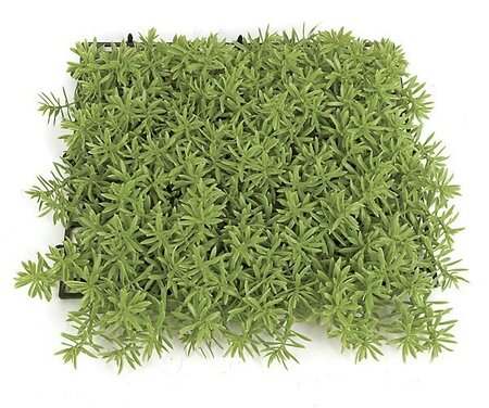Earthflora's 10 Inch X 10 Inch Light Green Hanging Senecio Mat In Regular Or Fire Retardant Optio...