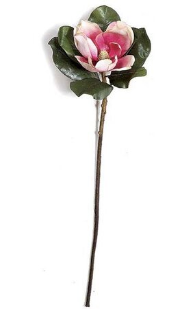 31" Magnolia Spray Beauty