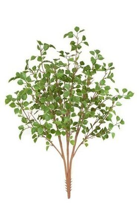 38" Birch Bush - 3 Stems - Light Green - 24" Foliage Height - 20" Width - Bare Stem
