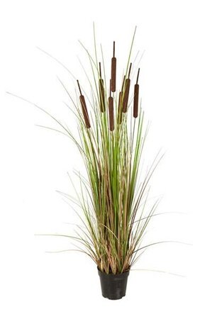 48" PVC Cattail Grass Bush - 7 Brown Cattails - Brown/Green - Weighted Base