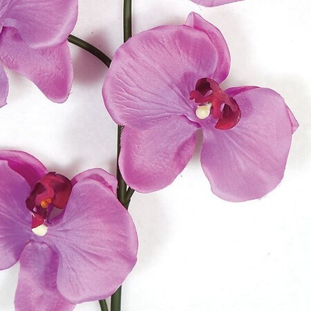 Earthflora's  39 Inch Ifr Butterfly Orchids - Pink, Orchid Purple, Or White-FIRE RETARDANT