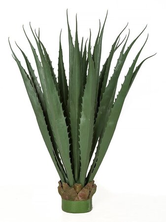 Earthflora's 36 Inch Large Outdoor Pandanus Plant In Green Or Burgundy