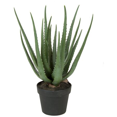 Earthflora's 22 Inch Potted Desert Cactus Natural-looking Aloe Plant