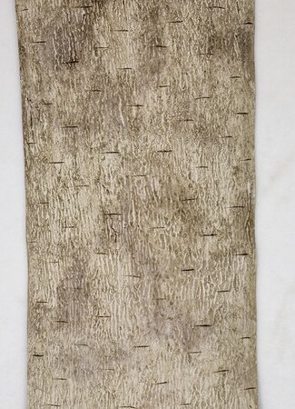 Earthflora's  6 Foot X 12 Inch Roll Of Synthetic Birch Bark In Dark Grey Or White Colors