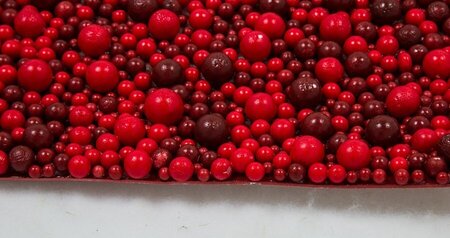 Earthflora's 19 Inch X 19 Inch Foam Multi-red Berry Floor Or Wall Mat