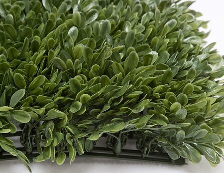 Earthflora's 20 Inch X 3.5 Inch Long Leaf Thick New Leaf Outdoor and Fire Rated Japanese Boxwood ...