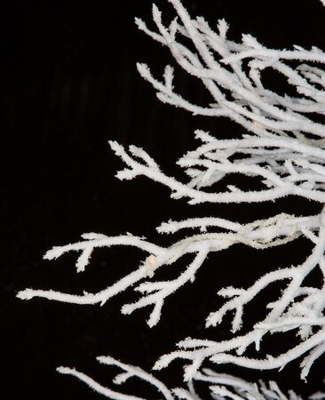 Earthflora's 7.5' Frosted Coral Twig Tree NO LIGHTS