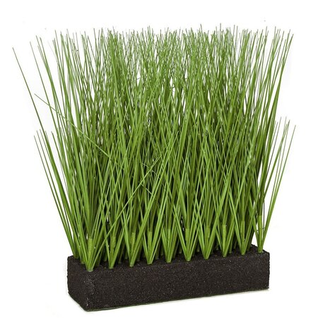 Earthflora's Planted Rectangle Pvc Onion Grass - 3 Sizes - 11 Inches, 16 Inches, And 19 Inches