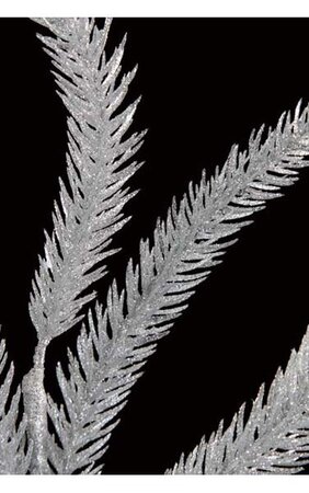 19" Glittered Norfolk Pine Spray Silver