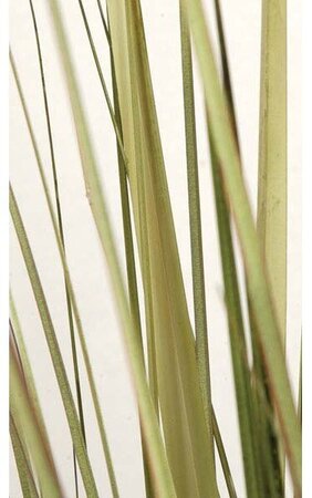 67" PVC Onion Grass - 30" Width - Green/Yellow - Weighted Base