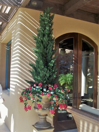 56" Large Outdoor Polyblend UV  Cypress Bush  44" of Greenery (approx)" 12" Stem 19" width