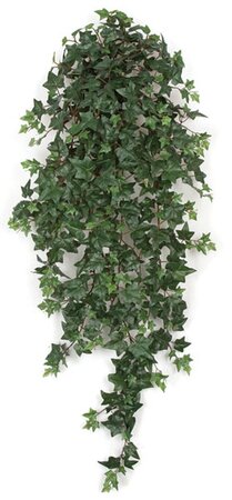 48 inches Sage Ivy Bush - 547 Leaves