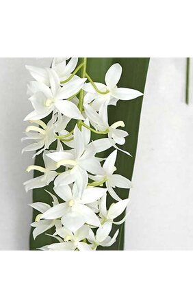 53" Foam White Orchid with Big Leaf - Soft Touch - 2 Green Leaves