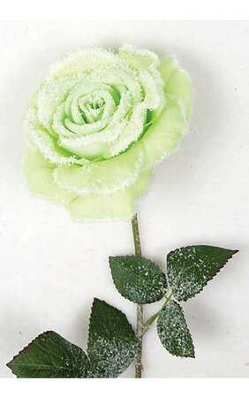 26" Snowy Rose Stem Lime Green
