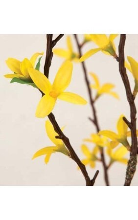 5' Forsythia Tree - Synthetic Trunk - 91 Leaves - 456 Yellow Flowers - 32" Width - Weighted Base