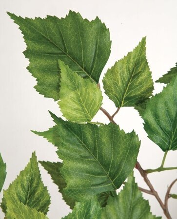 P-150150 52" Birch Spray - 168 Leaves - 24" Width - Tutone Green 