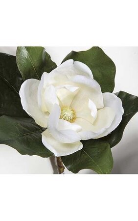 31" Magnolia Spray - White
