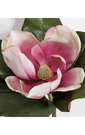 31" Magnolia Spray Beauty