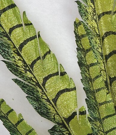 P-86840 8" Feather Stem - Green