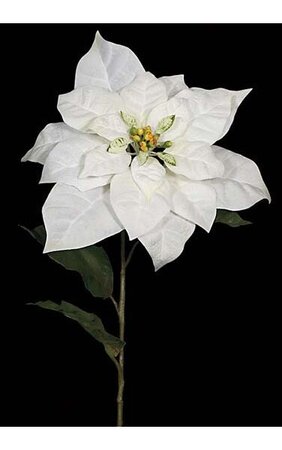 28" Velvet Poinsettia Stem White