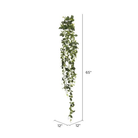 65" Fittonia Hanging Bush W/374 Lvs.-Gre